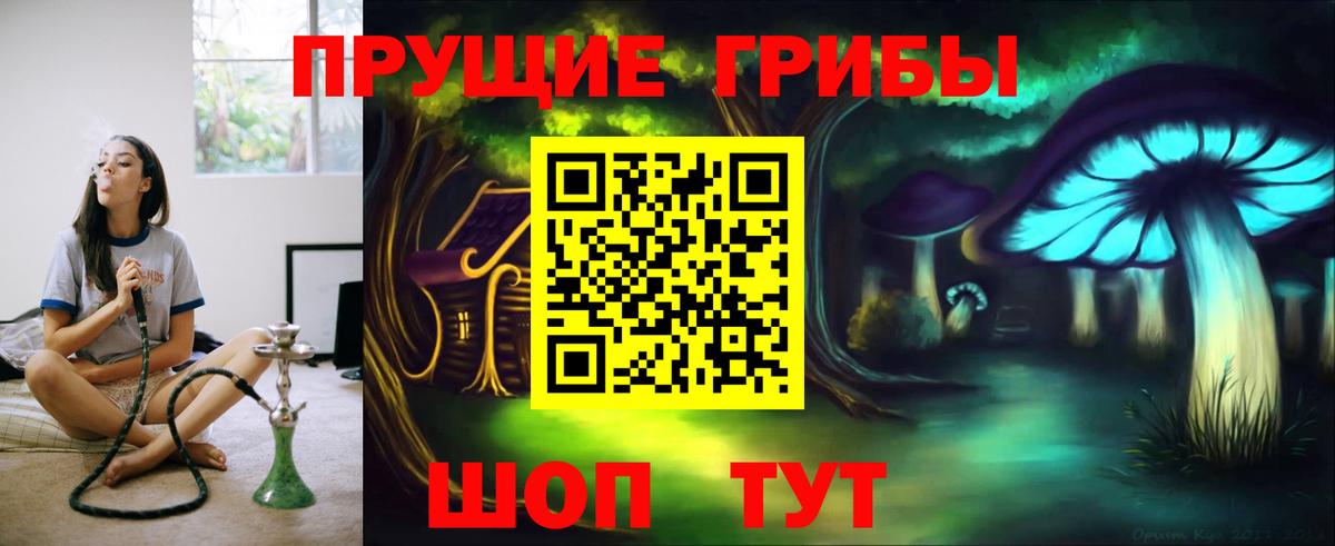 Псилоцибиновые грибы мицелий Уварово