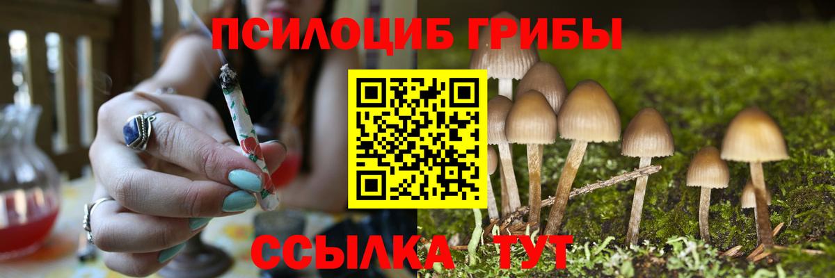 Уварово  Псилоцибиновые грибы Magic Shrooms  Вход с VPN 